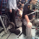 Image for article titled Plexiglas, poop, and penguins: Life behind the scenes on the Puppy Bowl
